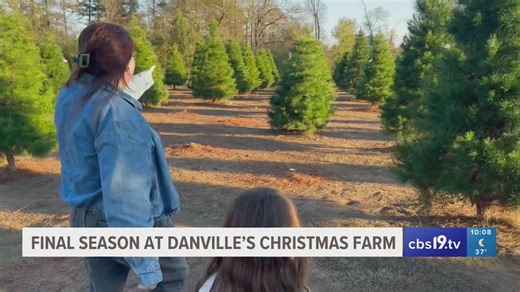 After 40 years, beloved Danville Christmas tree farm prepares to close its gates