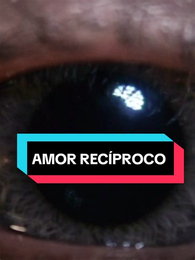 Amor Recíproco: Como Reconhecer e Construir Relações Equilibradas
