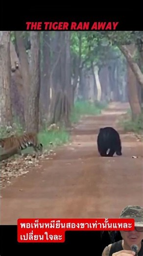 As soon as I saw the bear standing on two legs, I changed my mind.