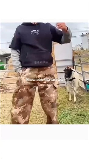 Most Incredible and Talented people in The World.#amazingskills