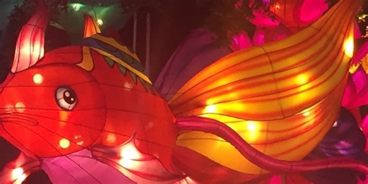 Dragon Lights giving free tickets to veterans, first responders