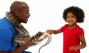 How Much Do Pet Snakes Cost to Buy, Own, and Care For?