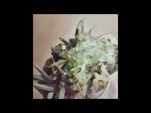 Green Chlorite in Quartz