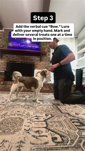 Teach Your Dog to Bow in 4 Steps (FAST!) ⚡️ #dogtraining #dogshorts #dogobedience #dogtricks