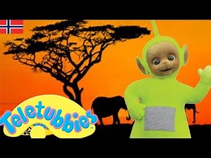 Teletubbiene på norsk - hele episoden kompilering - 1 time #30 | Tegneserier for barn