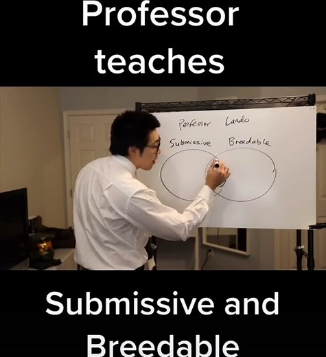 Professor Lando (@professorlando)’s videos with original sound - Professor Lando