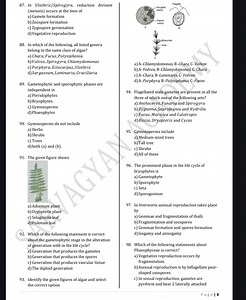 In Ulothrix/Spirogyra, reduction division (meiosis) occurs at t... | Filo