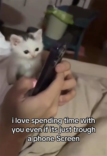 ,,i love spending time with you even if its just trough a phone Screen”#you #love #me #cat #fyp