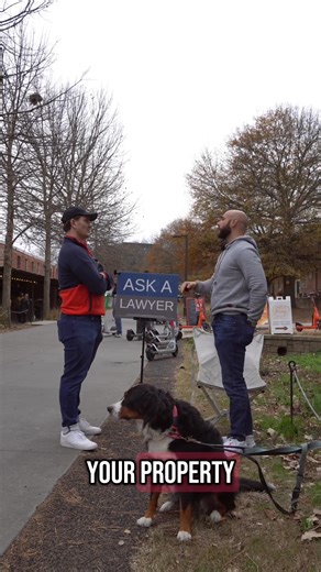 Ask a Lawyer Handling Property Disputes Your Legal Rights with Problematic Trees | AtlCody - Georgia’s Lawyer