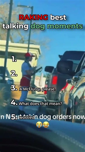 Ranking best talking dog moments