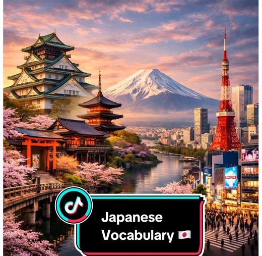 Essential Japanese Vocabulary for Beginners