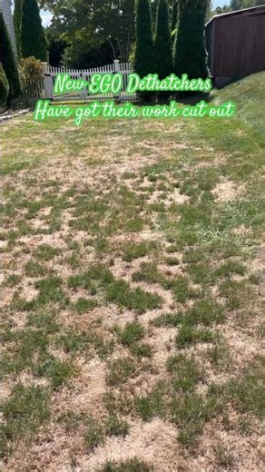 EGO Dethatcher #lawncare #lawncareservices #lawnmaintenance #landscaping #lawn #ego #egopowerplus