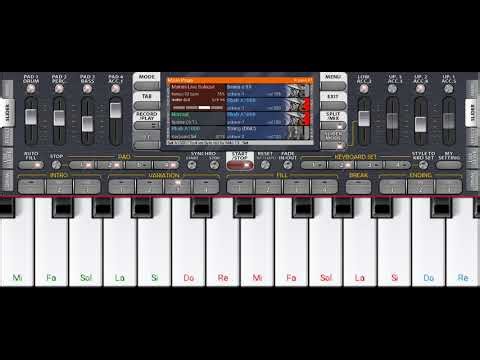 🎹 Organ Instrumental عزف راي جزائري