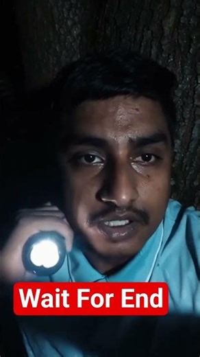 I Built a Jungle Survival Tree House in Lion Territory Using Wood & Bamboo #shortvideo#youtubeshorts