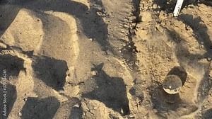 Transparent ball on the beach, slow motion on a beautiful day. Slow motion