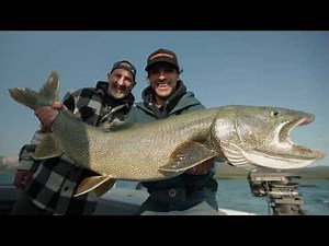 Tagish Lake Trout Fishing: Tactics for Big Water Giants