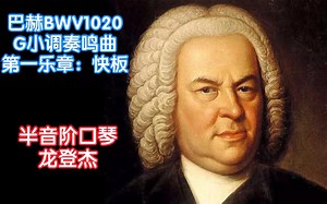 龙登杰丨最适合口琴的巴洛克?巴赫BWV1020第一乐章