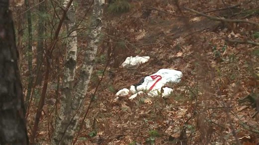 Concord city councilors approve $35,000 to restore land after homeless camp clearing