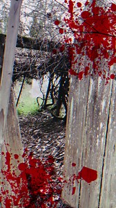 Party in the woods? | Diggy Graves