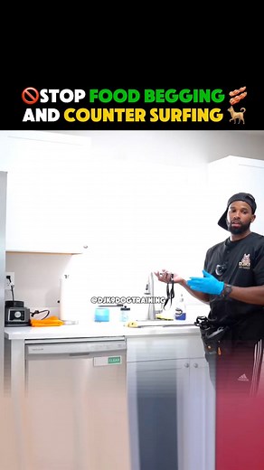 4.3K views · 48 reactions | ‼️PLACE is a wonderful command to implement with your dog. It allows your dog the freedom to feel apart of what’s going on with the family without having to get locked in the garage or a crate just so they’re not in the way. ✅ | DJK9 Dog Training | Facebook