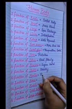 main functions of different organs in the human body