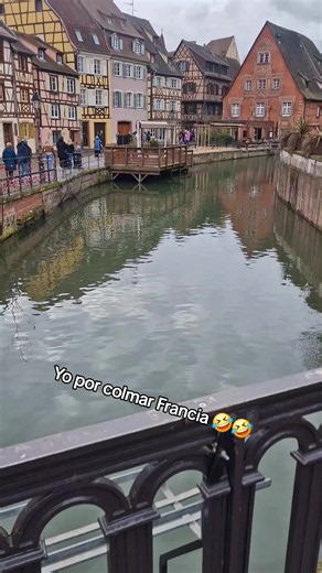 🤣🤣🤣