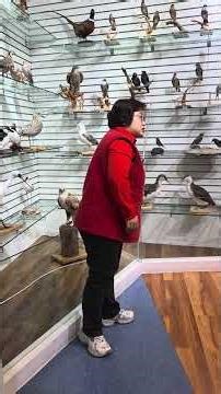 🦜🐦2026:4.16.새 종류