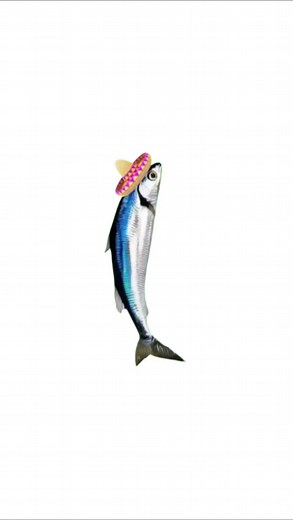 Explore the Fascinating World of Spinning Fish