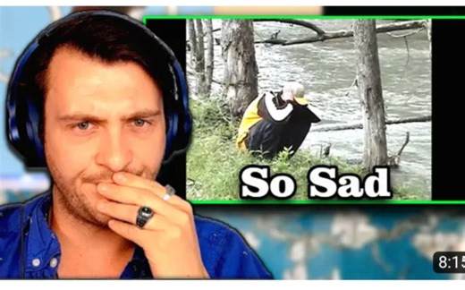 【reaction Joji】《Glimpse Of Us》单曲反应合集14