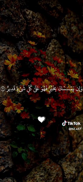 #ارح_سمعك_بالقران🎧♥️ #fypシ゚viral #قران_quran #اعادة_اعادت_نشر🔁