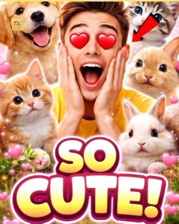 “Cutest Baby Animals Ever 😍