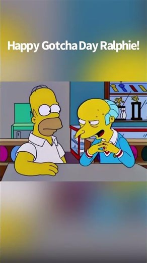 Reaction that today is Ralphie’s gotcha day!