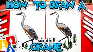 How To Draw A Sandhill Crane Bird - Art For Kids Hub -