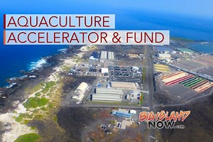 State Launches Hawai‘i-Based Aquaculture Accelerator & Fund | Big Island Now