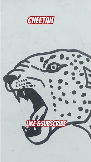 How To Draw a Cheetah |easy Sketch Tutorial (Step-by-Step) #howto #cheetah #tiger #drawingtutorial