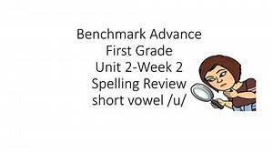 Benchmark Advance First Grade Unit 2 Week 2 Spelling Review