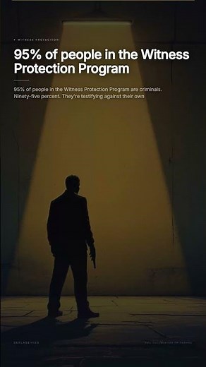The Dark Reality of Witness Protection: Why 95% of Participants are Criminals