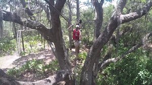 We have 100 obstacles here at our park, with courses progressing in difficulty from beginner to extreme. Have you tried them all yet? | TreeUmph! Adventure Course