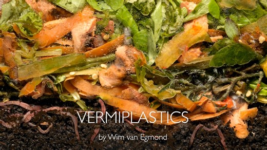 Vermiplastics
