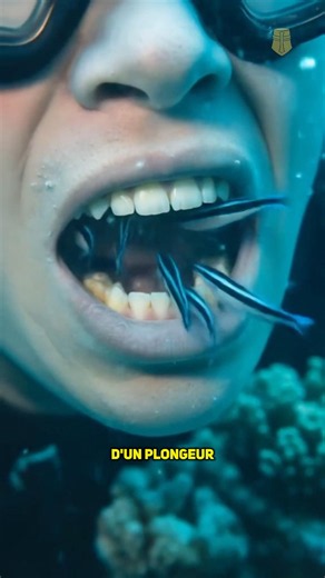 The Ocean's Tiny Hero