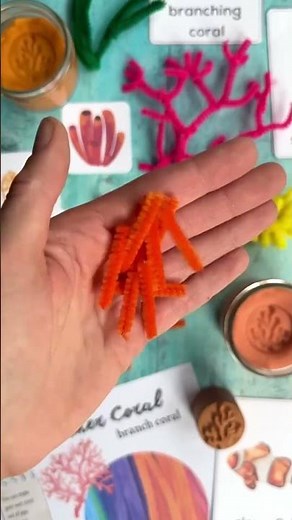 🐠 Build Your Own Coral Reef! 🪸 (Easy Ocean STEM for Kids)