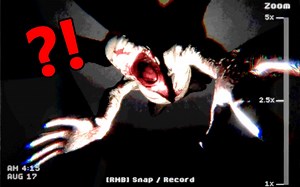 恐怖游戏：深夜家里摄像机拍到人形实体