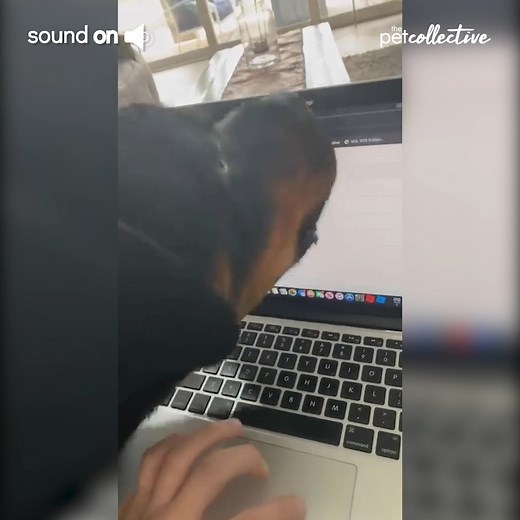 100K views · 853 reactions | Have you tried turning it off and on again?  | Try Not to Laugh | Facebook