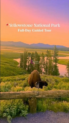 Yellowstone National Park Full Day Tour | Old Faithful, Grand Prismatic Spring & Top Attractions