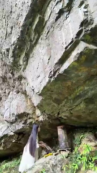 Beekeeper’s Trick: Using Wax to Attract Bees to a New Hive 👀