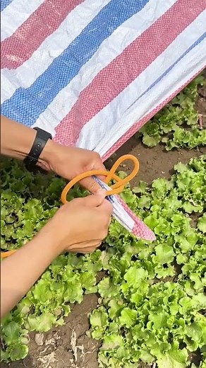 Simple knotted cloth corner knot, knotting method, knotting skills, practical knots for daily li
