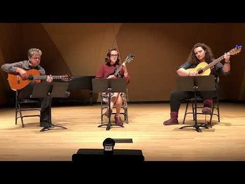 Beethoven-"Moonlight" Sonata for mandolin and two guitars