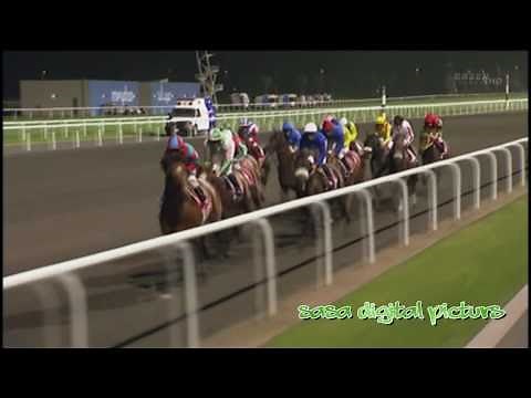 【競馬伝説】2011年ドバイWC ヴィクトワールピサ 奇跡のカメラ目線！日本競馬史を変えた感動の瞬間！トランセンド、ブエナビスタも参戦！