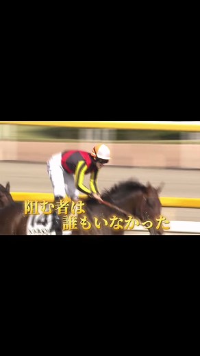 競馬名シーン紹介第2弾！日本ダービー幻の三冠馬ドゥラメンテ#名シーン #競馬 #ダービー #ドゥラメンテ @あかねっと競馬