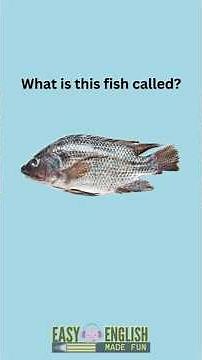 Can you name these fish in English?